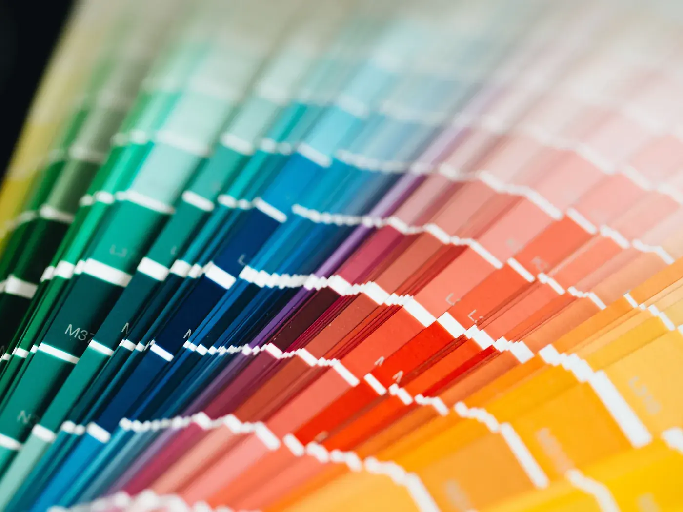 A fan of color swatches, close up